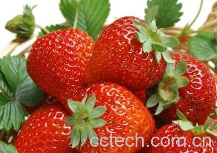 草莓怎么洗才干净 洗草莓的正确方法-1