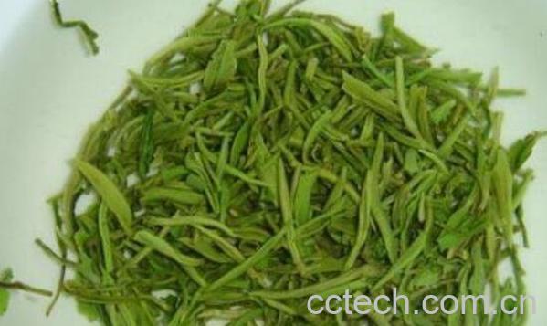 毛尖茶怎么泡 毛尖茶的特点-0