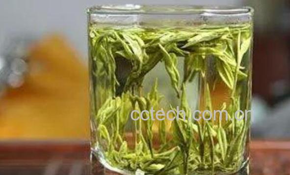 毛尖茶怎么泡 毛尖茶的特点-1