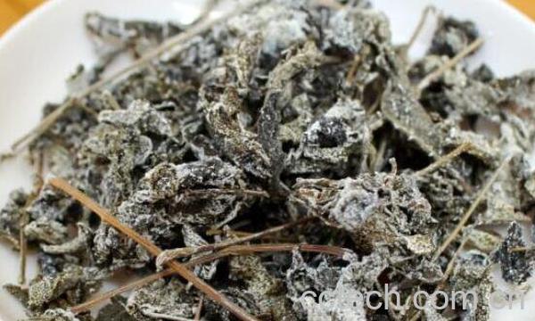 莓茶怎么泡 莓茶的特点-1