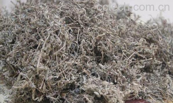 莓茶怎么泡 莓茶的特点-0