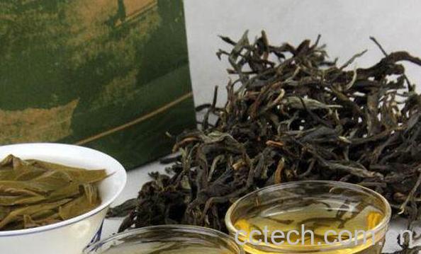 古树茶怎么冲泡 冲泡古树茶的注意事项-1