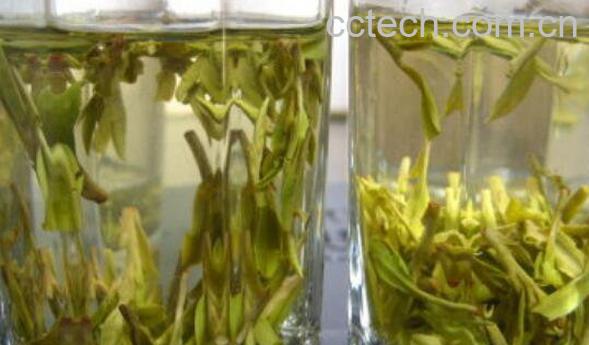 龙井泡多久喝 龙井冲泡的正确方法-0