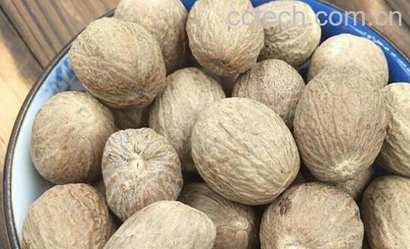 肉蔻属于什么茶 肉蔻茶的冲泡方法-0