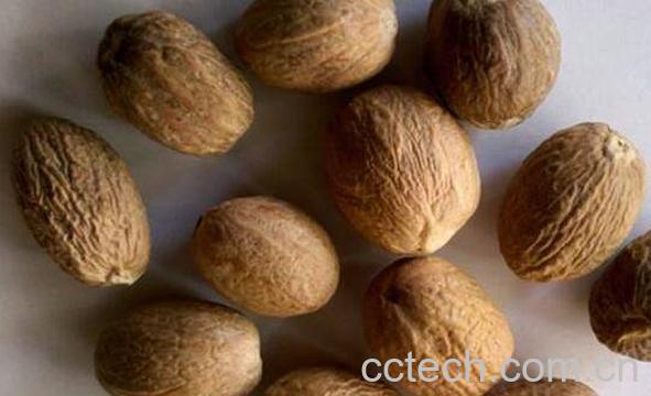 肉蔻属于什么茶 肉蔻茶的冲泡方法-1