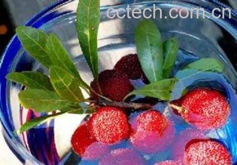 杨梅怎么洗干净 杨梅的正确清洗方法-1