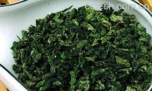  铁观音属于什么茶 铁观音的功效与作用-1