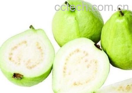 番石榴籽的的功效与作用-1