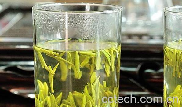 毛峰的冲泡方法及注意事项-0