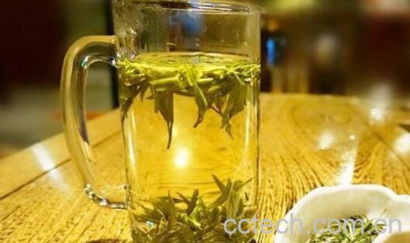 毛峰的冲泡方法及注意事项-1