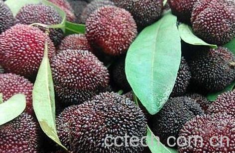 杨梅怎么洗干净 杨梅的常见吃法-0