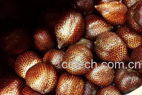 蛇皮果的药用价值-0