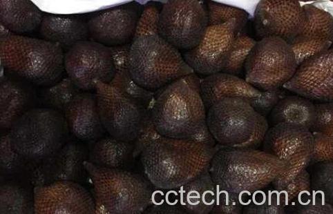 蛇皮果的药用价值-1