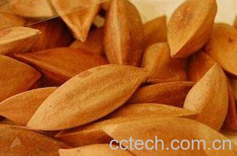 霹雳果的药用价值与主要功效-0