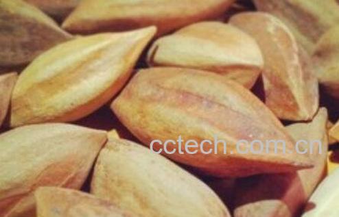 霹雳果的药用价值与主要功效-1