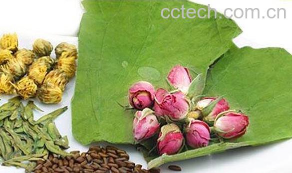  玫瑰荷叶茶的功效与作用 玫瑰荷叶茶的副作用-1