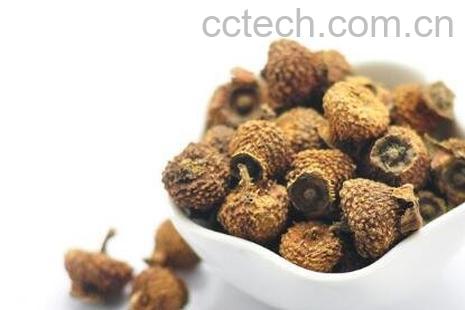 野刺梨果的药用价值-0