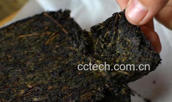 茯茶的功效与作用-1