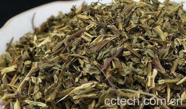 肾茶的功效与作用-1