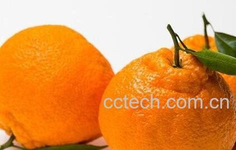 丑柑的功效与作用-1