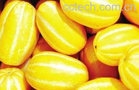 金密瓜的功效与作用-1