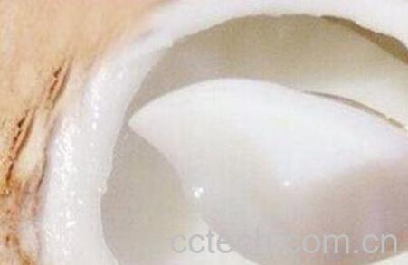  椰子肉的功效与副作用-1