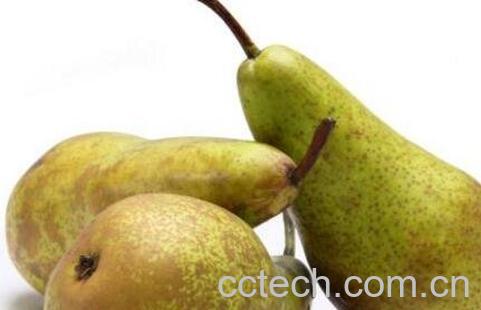 啤梨的药用价值-1