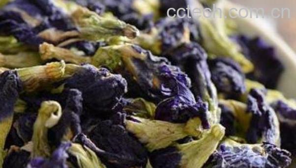 蓝蝴蝶花茶的功效-0