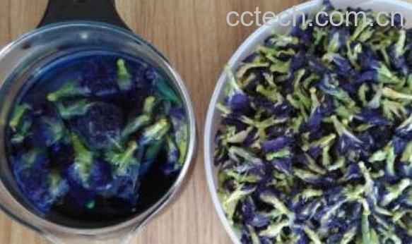 蓝蝴蝶花茶的功效-1