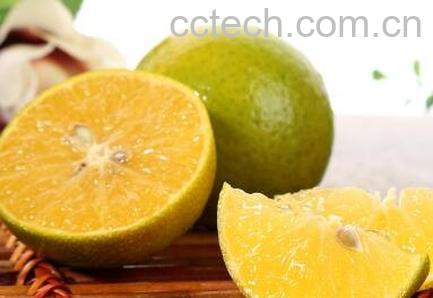 皇帝柑什么时候成熟 皇帝柑如何吃-1