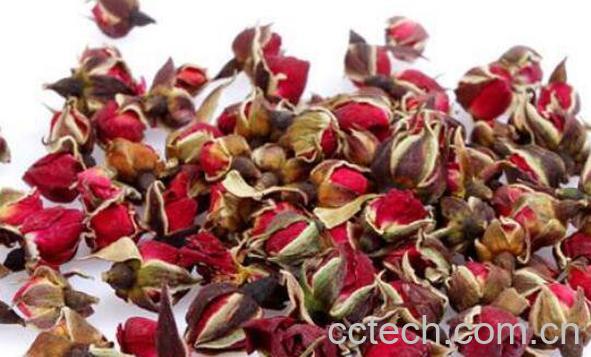 金边玫瑰怎么泡 金边玫瑰和什么一起泡-1