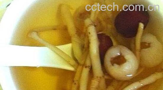 鱼腥草茶的功效与作用-0