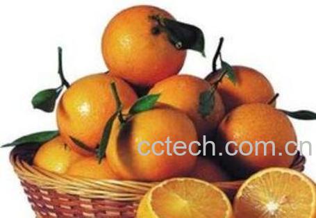药橙的功效与作用 药橙怎么吃效果最好-1