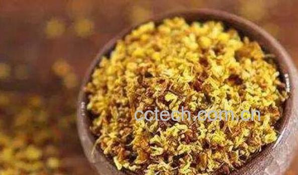桂花茶的功效与作用及食用方法-0
