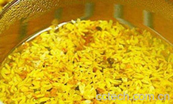 桂花茶的功效与作用及食用方法-1