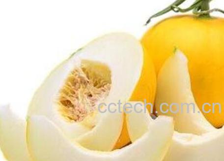  伊丽莎白瓜怎么挑 伊丽莎白瓜的吃法-0