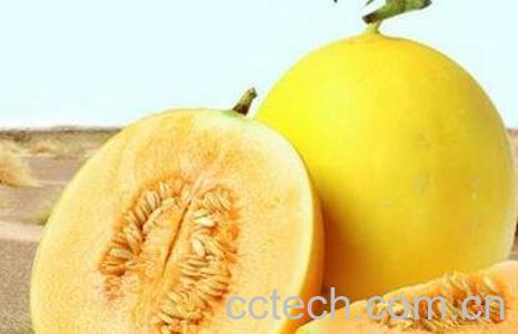  伊丽莎白瓜怎么挑 伊丽莎白瓜的吃法-1