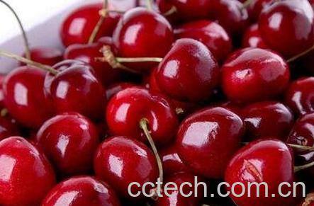 进口车厘子的功效与作用-0