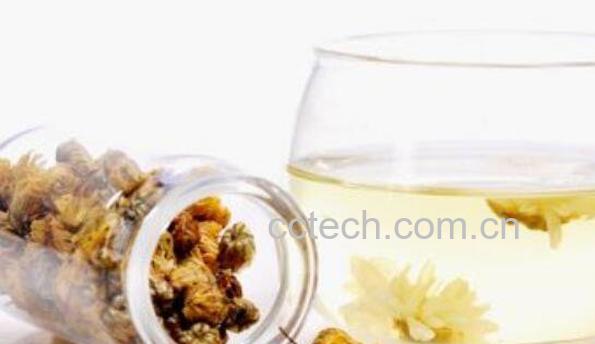 菊花茶的功效与作用及食用禁忌-1