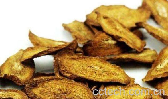 牛蒡茶的功效与作用及冲泡方法-0