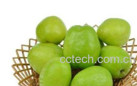 青枣山楂的功效与作用-0