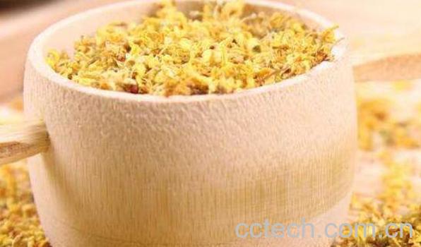 桂花茶怎么做 桂花茶怎么制作 -0