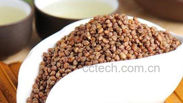黑苦荞茶的功效与作用 黑苦荞茶的副作用-1