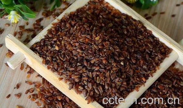 黑苦芥茶的功效与作用及食用方法-1