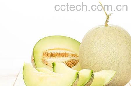 果蔬百科香瓜的功效与作用-0