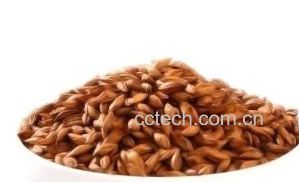 富硒大麦茶的功效与作用-1