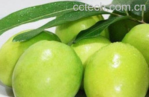 青枣的功效与作用及食用方法-0