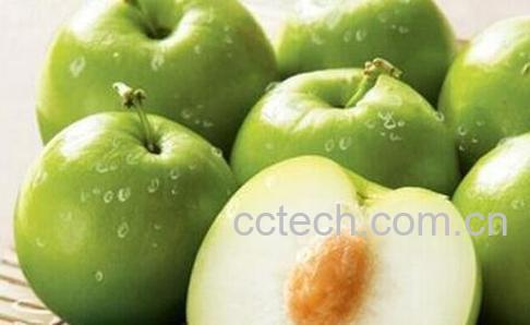 青枣的功效与作用及食用方法-1