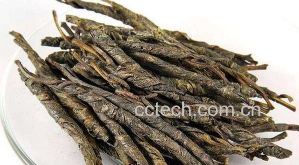 苦丁茶的功效与作用有哪些-1