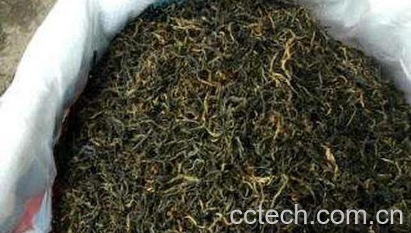 普洱茶有哪些功效 喝普洱茶的注意事项-1